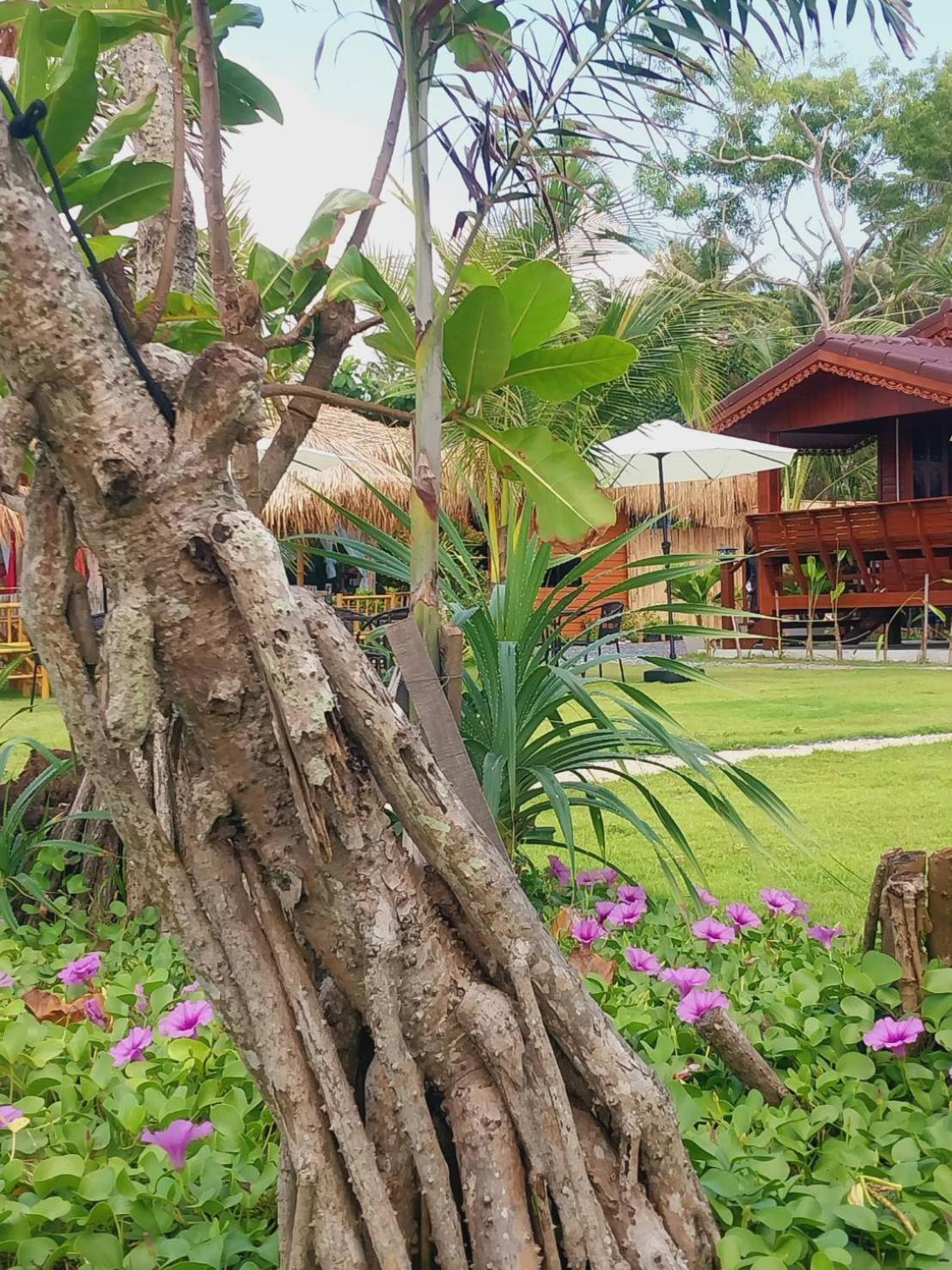 Walden Koh Lanta - Tiny Homes By The Sea Extérieur photo